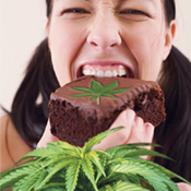 Edible Marijuana: Is It Safe?