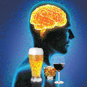 Alcohol and the Developing Brain (DVD)